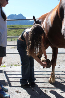 IMG_4026 copie95.jpg